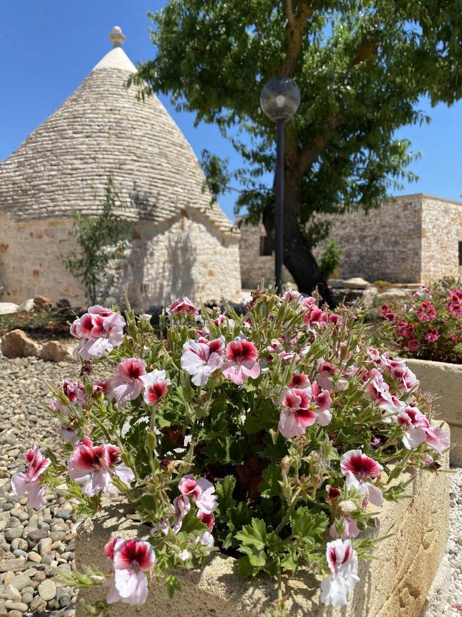 ホテル I Trulli Del Fauno アルベロベッロ エクステリア 写真